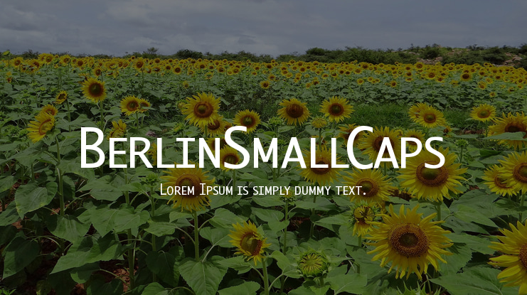 BerlinSmallCaps Font