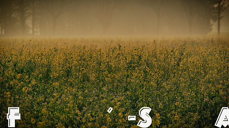 Franken's-SteinA Font