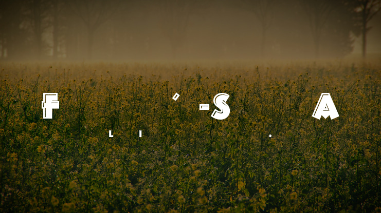 Franken's-SteinA Font