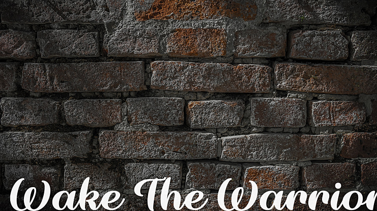 Wake The Warrior Font