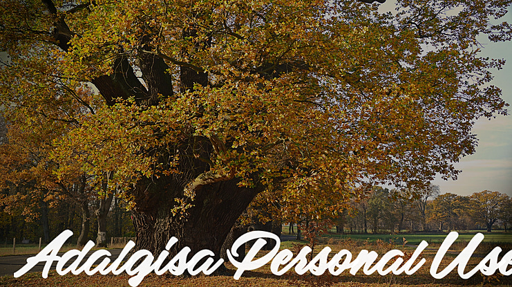 Adalgisa Personal Use Font