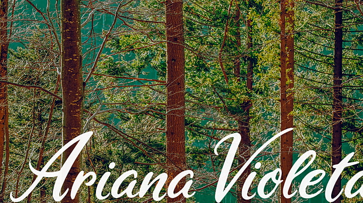 Ariana Violeta Font
