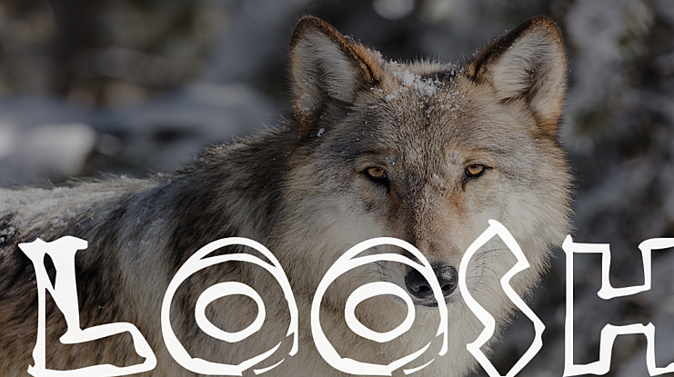 Loosh Font