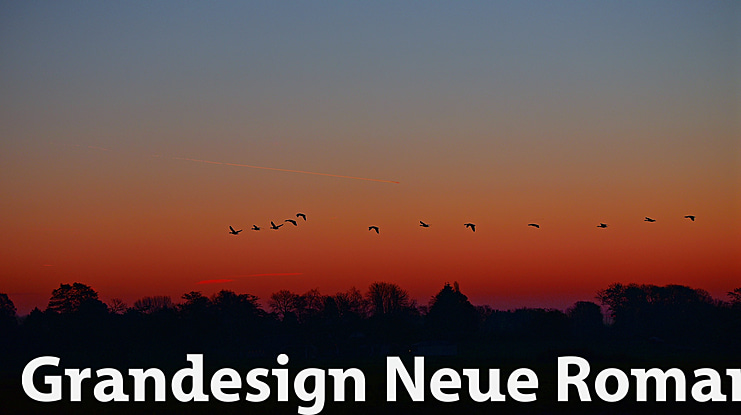 Grandesign Neue Roman Font Family