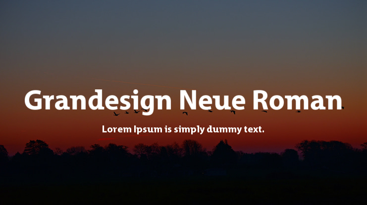 Grandesign Neue Roman Font Family