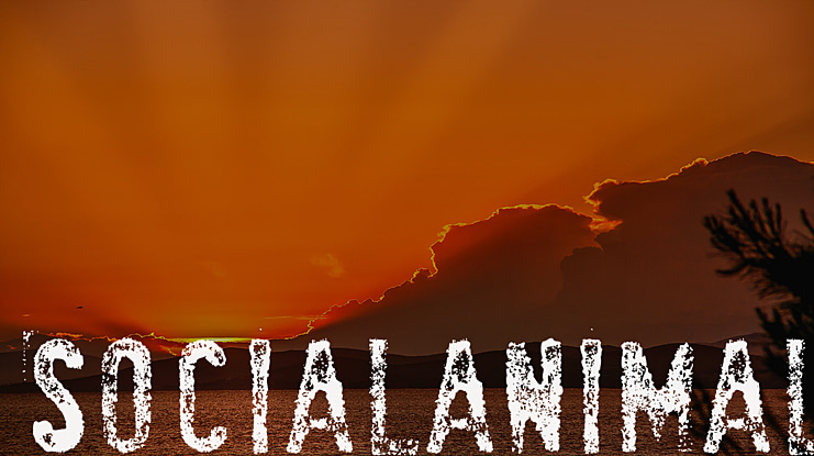 SociaLAnimaL Font