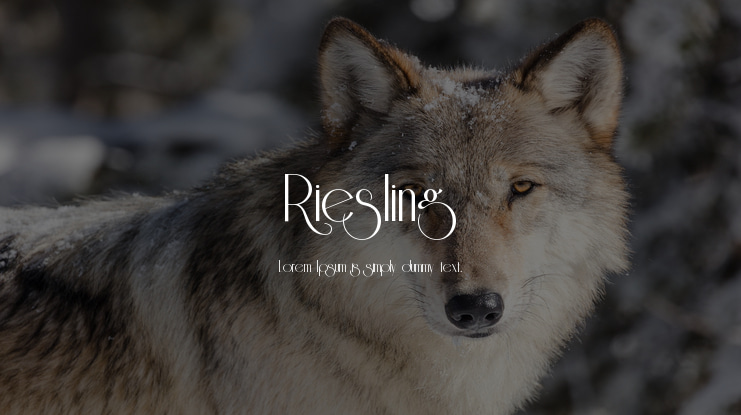 Riesling Font