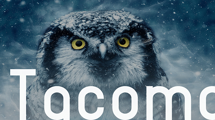Tacoma Font