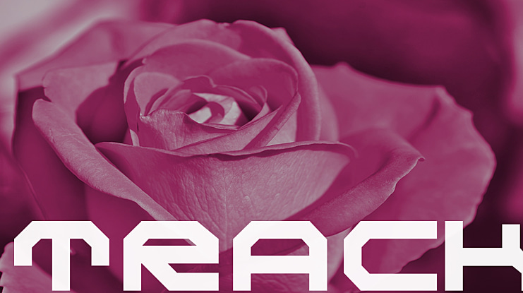 TRACK Font Family