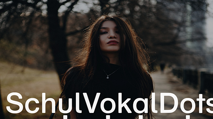 SchulVokalDots Font Family