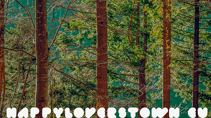 happyloverstown.eu_fatlove Font