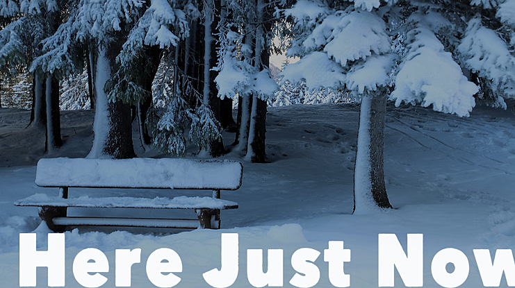 Here Just Now Font Family