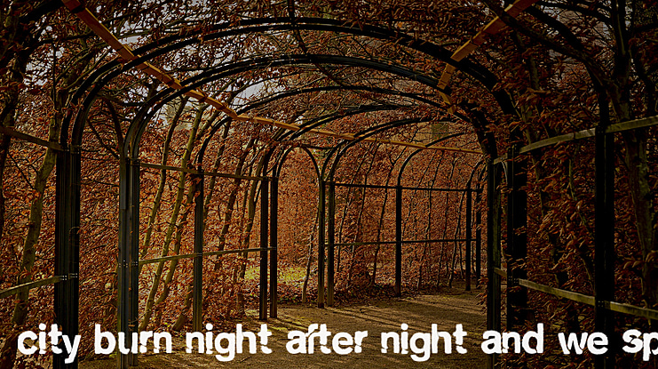 city burn night after night and we spraypaint the walls Font