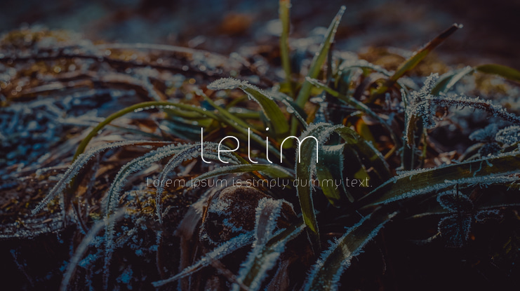 lelim Font Family