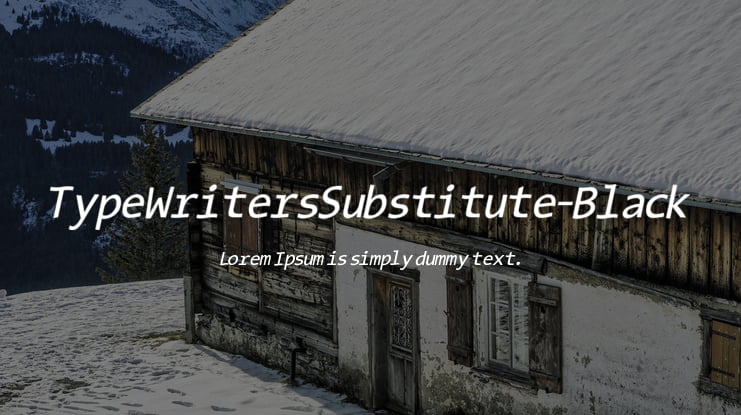 TypeWritersSubstitute-Black Font Family