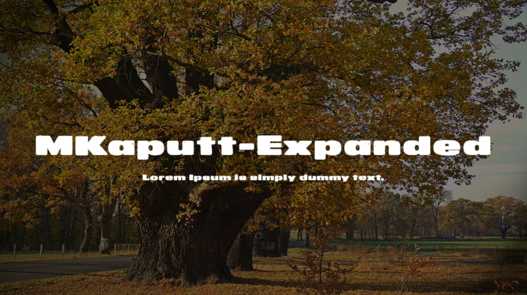MKaputt-Expanded Font