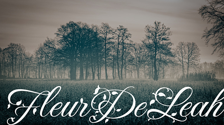 Bonheur Royale Font Family