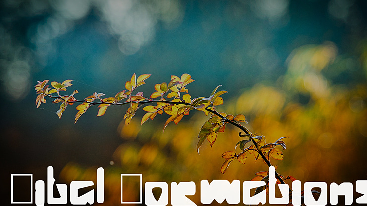 Vital Formations Font