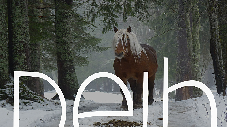 Deibi Font