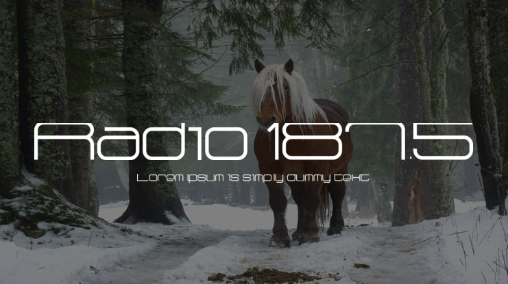 Radio 187.5 Font Family