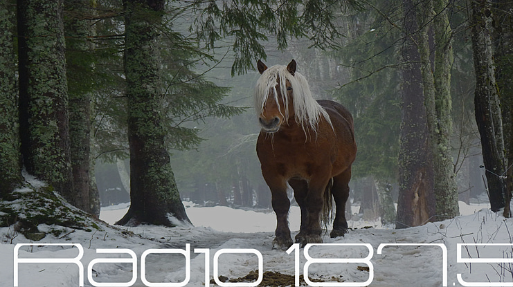 Radio 187.5 Font Family