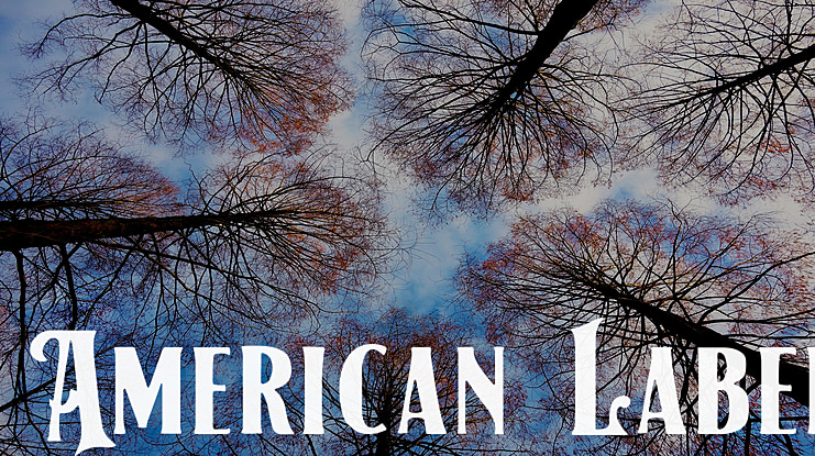 American Label Font Family