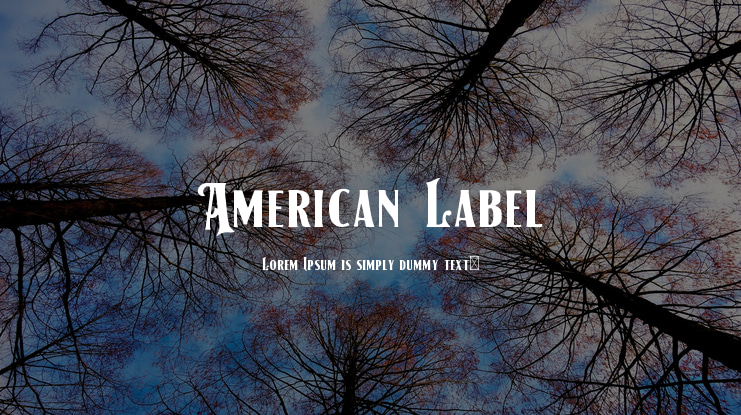 American Label Font Family