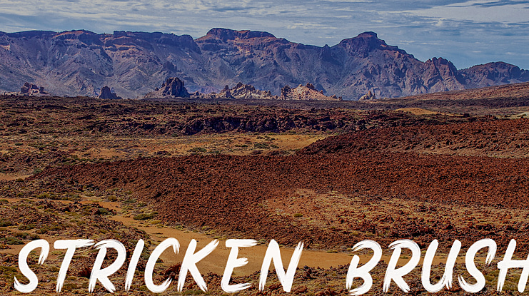 Stricken Brush Font