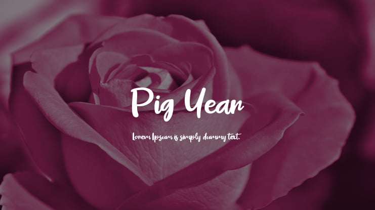 Pig Year Font