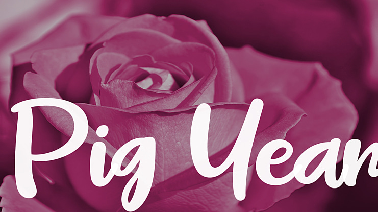 Pig Year Font