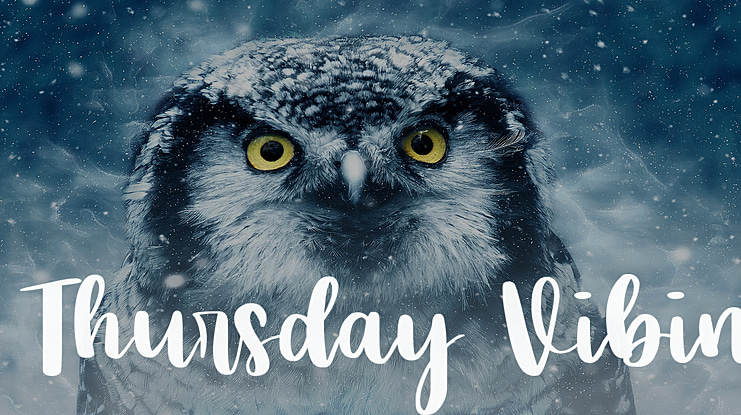 Thursday Vibin Font