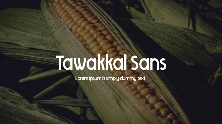 Tawakkal Sans Font