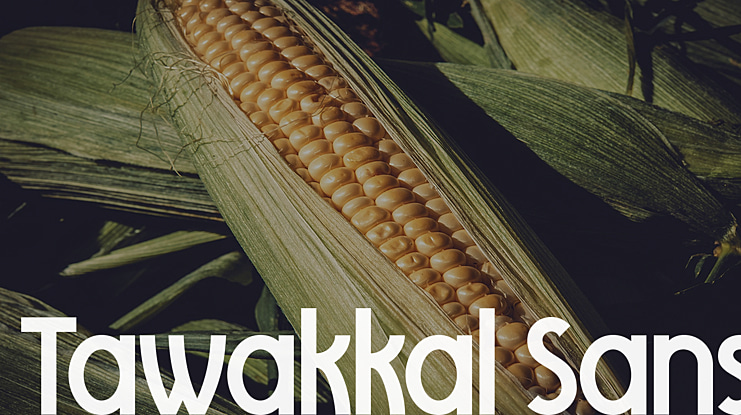 Tawakkal Sans Font