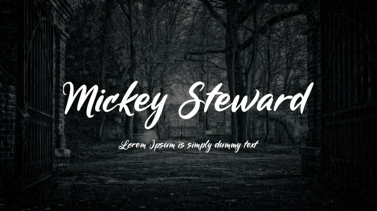 Mickey Steward Font