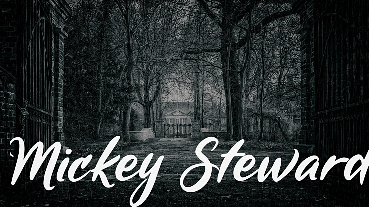 Mickey Steward Font