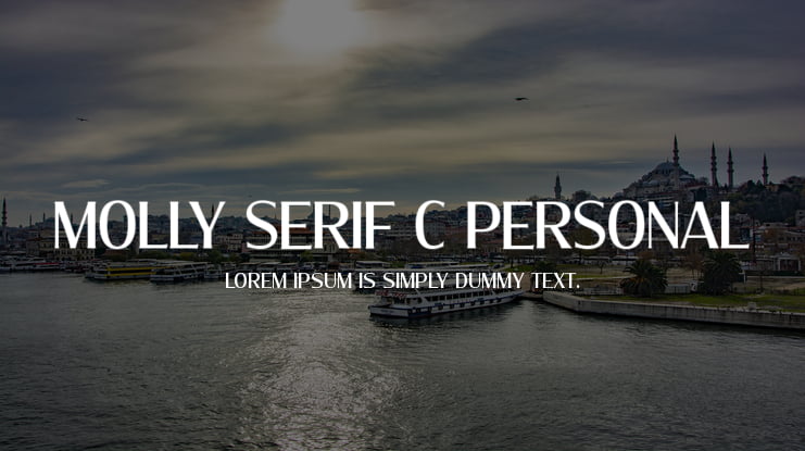 Molly Serif C PERSONAL Font Family