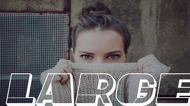 Large Font Family