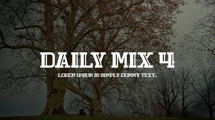 Daily Mix 4 Font