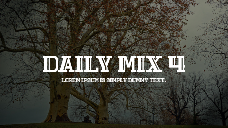 Daily Mix 4 Font