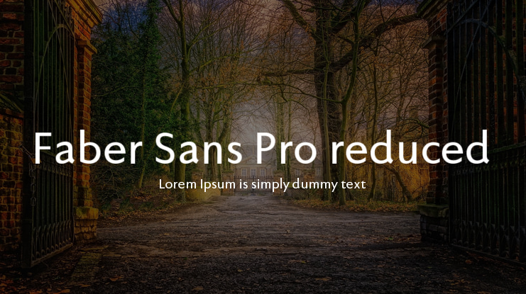 Faber Sans Pro reduced Font Family