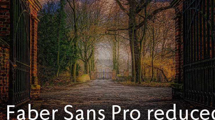 Faber Sans Pro reduced Font Family