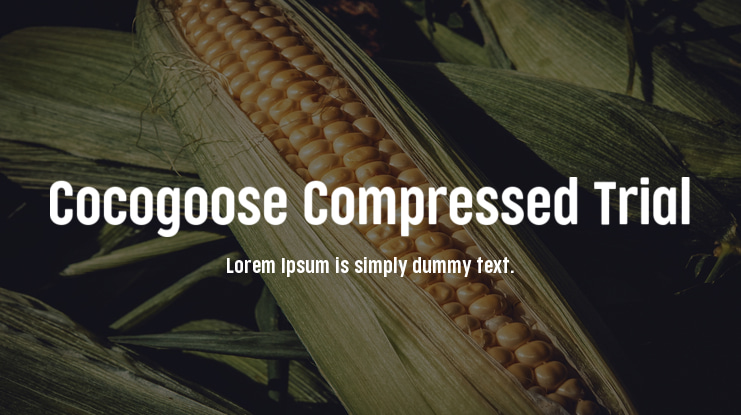 Cocogoose Compressed Trial Font Family