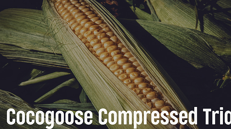 Cocogoose Compressed Trial Font Family