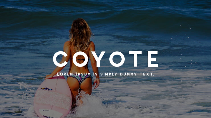 Coyote Font