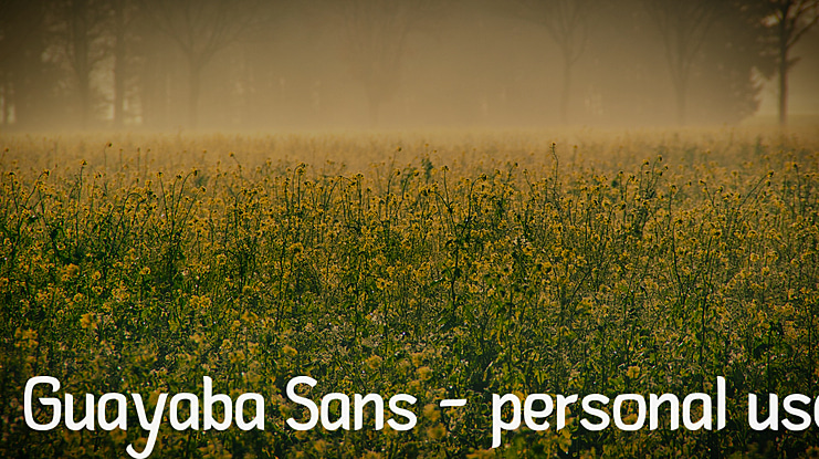 Guayaba Sans - personal use Font