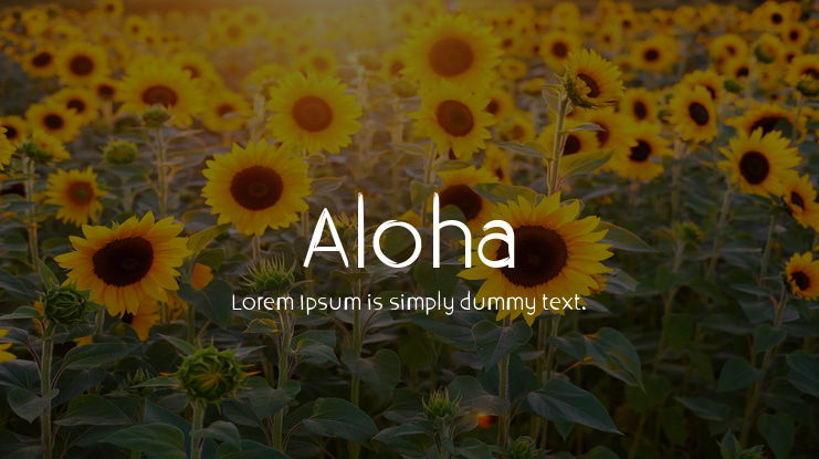 Aloha Font