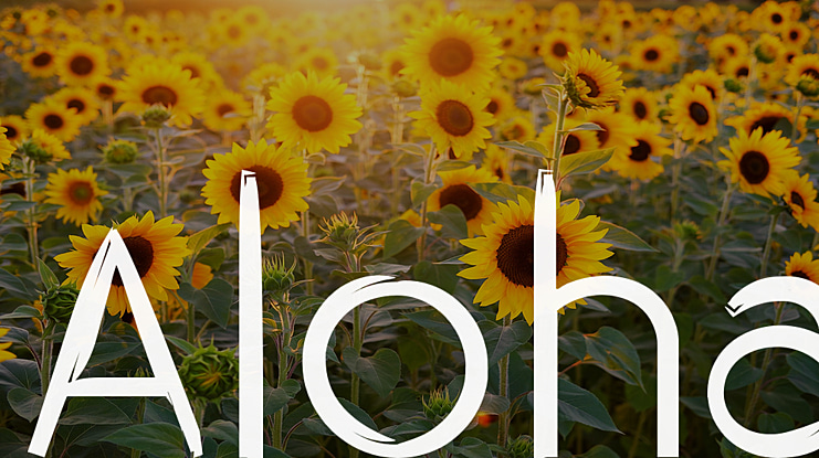 Aloha Font