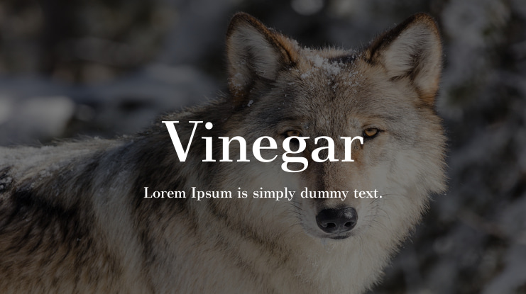 Vinegar Font