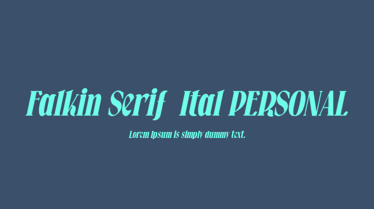 Falkin Serif  Ital PERSONAL Font Family