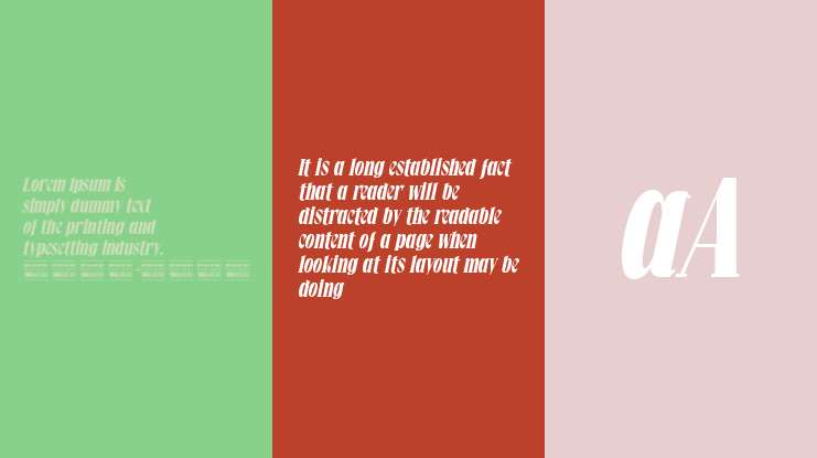 Falkin Serif  Ital PERSONAL Font Family